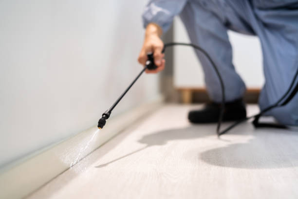 Licensed Fumigation Services service in Folsom, CA - Nex Pest Control