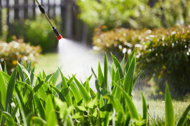 24/7 Emergency Fumigation Services experts in Folsom, CA
