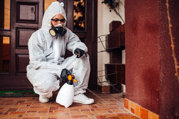 Reliable Fumigation Services contractor in Folsom, CA by Nex Pest Control