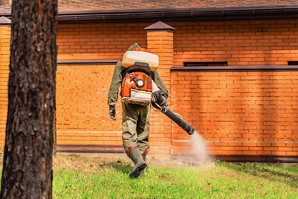 Top rated local Fumigation Services specialists in Folsom, CA